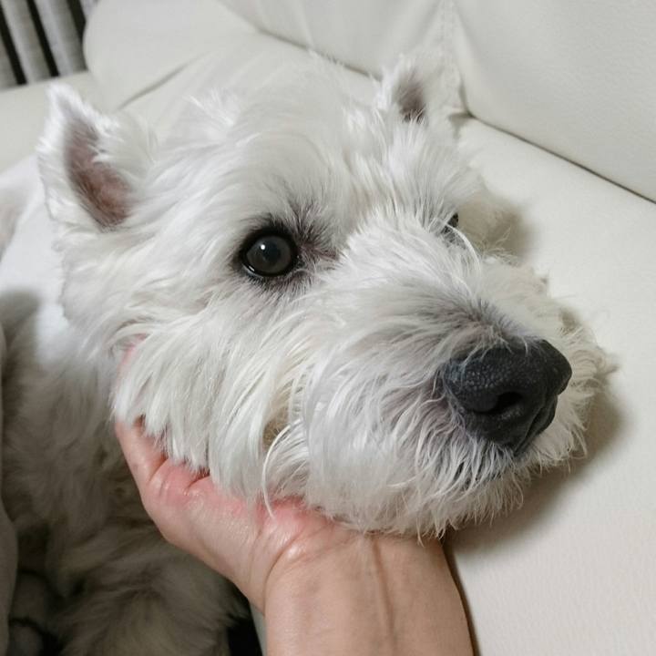 27b4d497 3986 4aa0 bad3 51dba66e869c