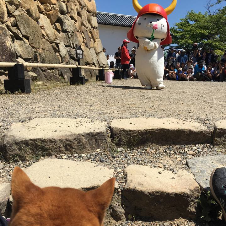 27b4d9f6 8f84 4eb7 abbb ab5dc59b99c0