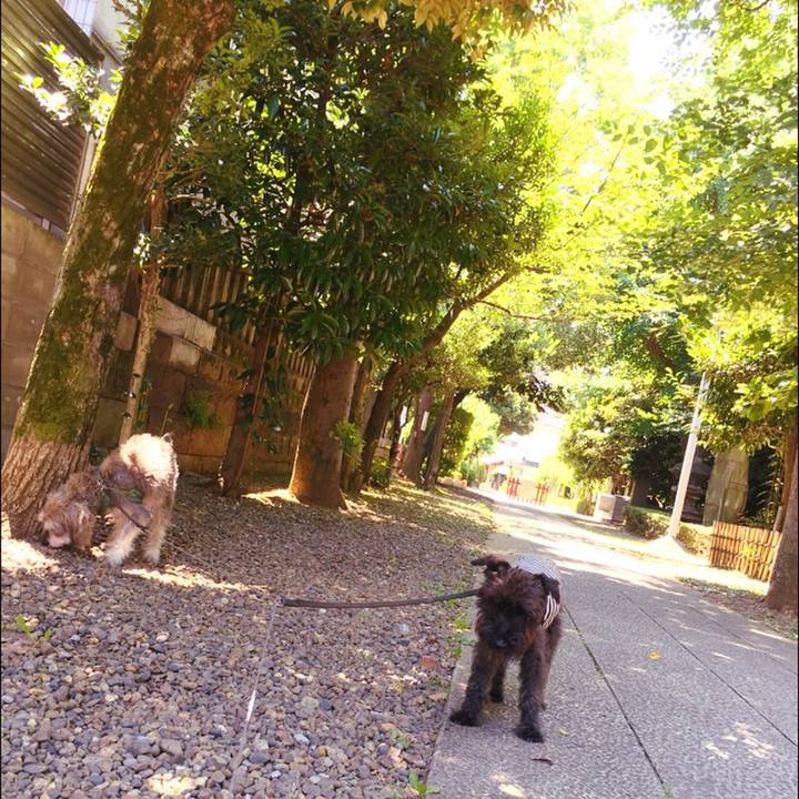 27b62417 dff4 4112 adca f781891d101f