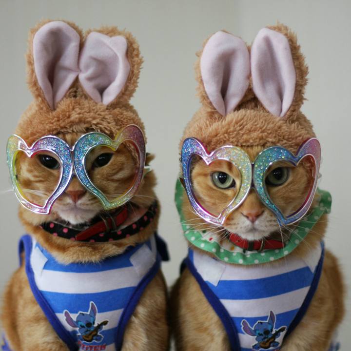 27b66731 49a8 461b b01d 77504a8482a6