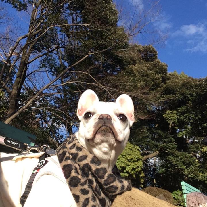 27b680c9 5545 47aa 89bf 3182ca5d81ff