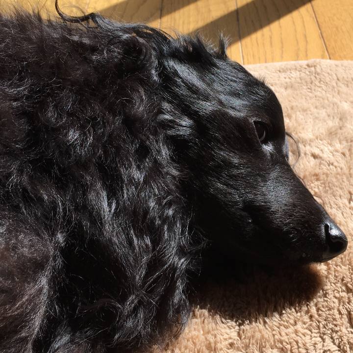 27b6d043 e1b4 4c02 9334 684d1eb01449