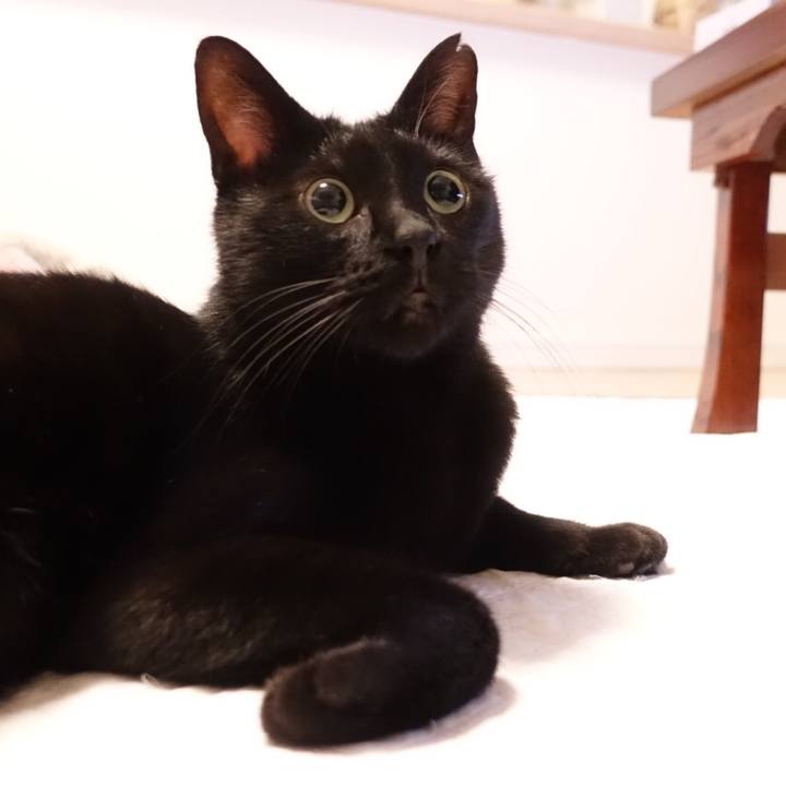 27b6e531 024a 43b8 99bc 165e3dca370c