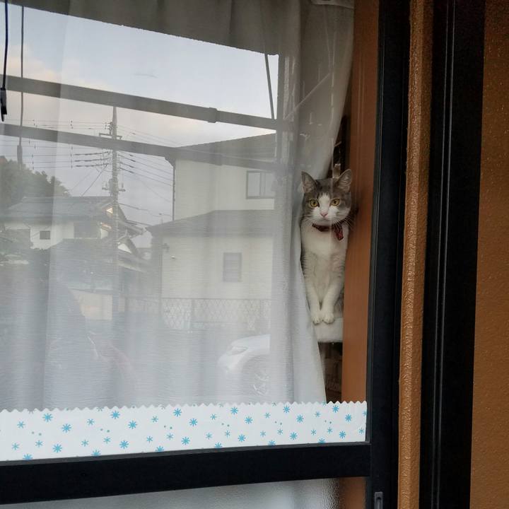 27b83899 2712 4f95 abf9 cc449b7bbf72