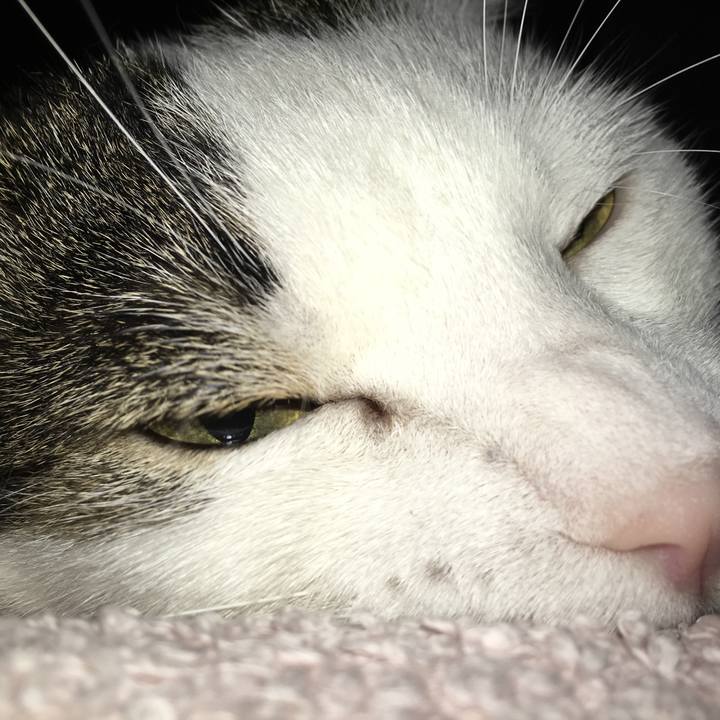 27b95ddd 70ad 494d aa01 ccd009840cc4