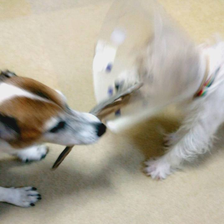 27b974be 3810 404c a902 ce1b29c044b8