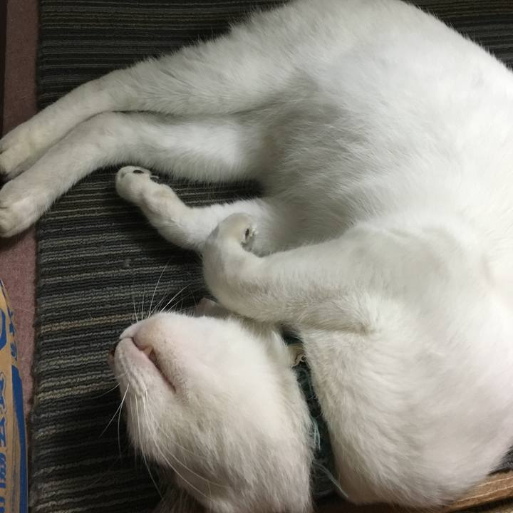 27b99c2b de48 4e0c 88a6 f9a03ad4c2bd