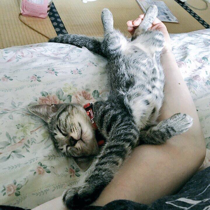 27b9b0ff 3f06 4cfc 93b0 9e3016e9f1b7