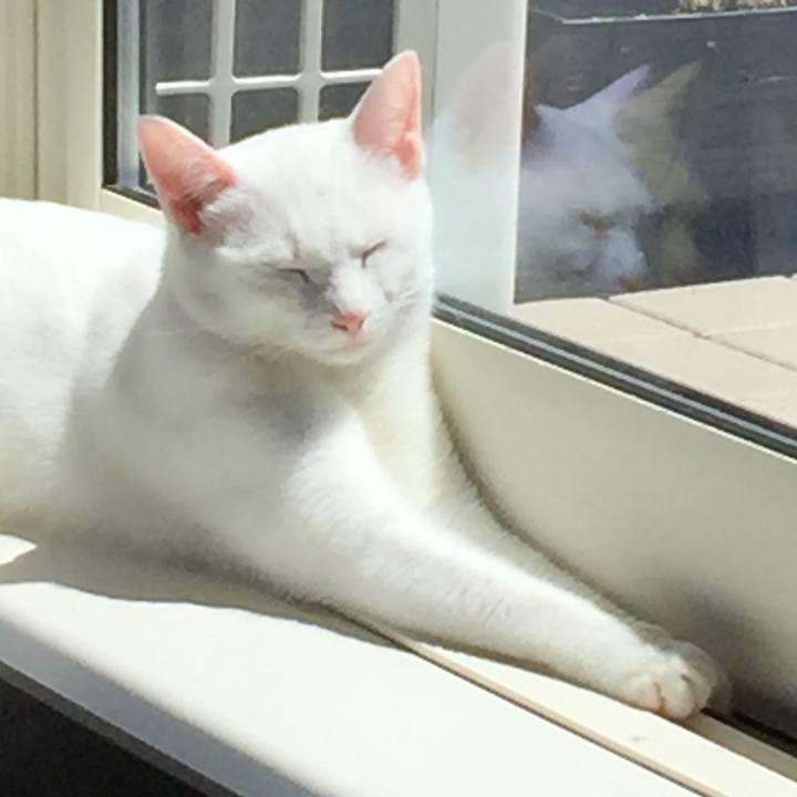 27b9f2fa 230b 4f44 bd8f 3744b9b19819