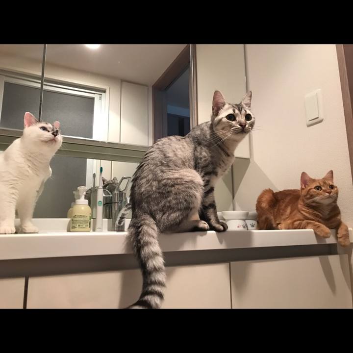 27baa141 f644 46fa 8686 352f087b72b5