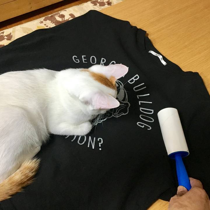 27bafc25 d487 4251 8079 ac9744ee4755