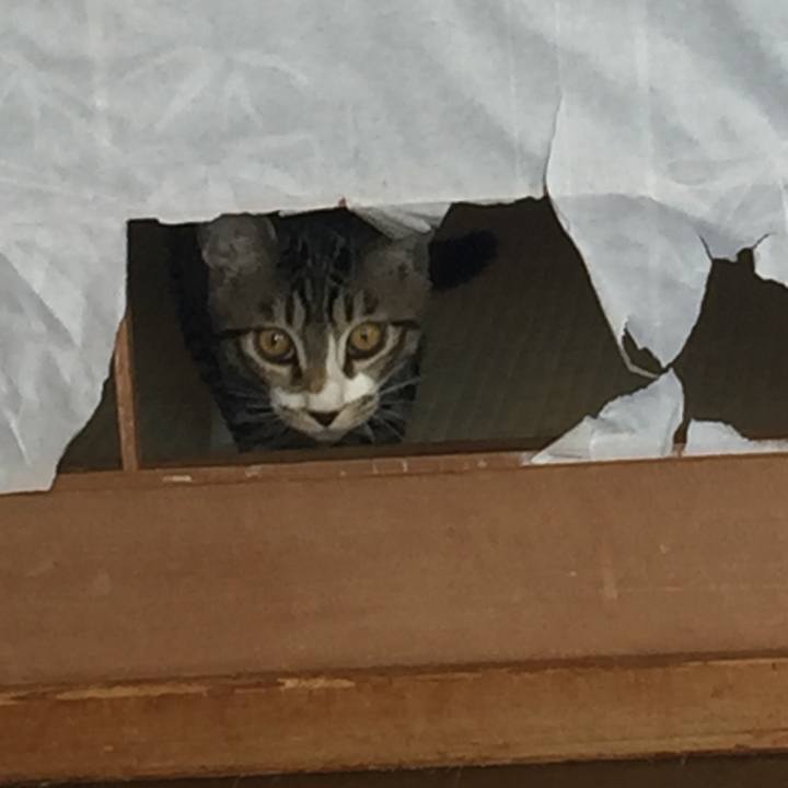 27bb1709 0110 4304 a5f7 ba1d4306b34f