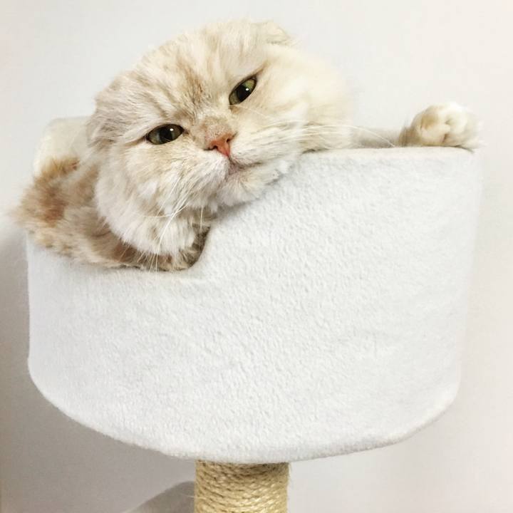 27bb22ed fc27 4f6a 86c7 51e9fe96dc41