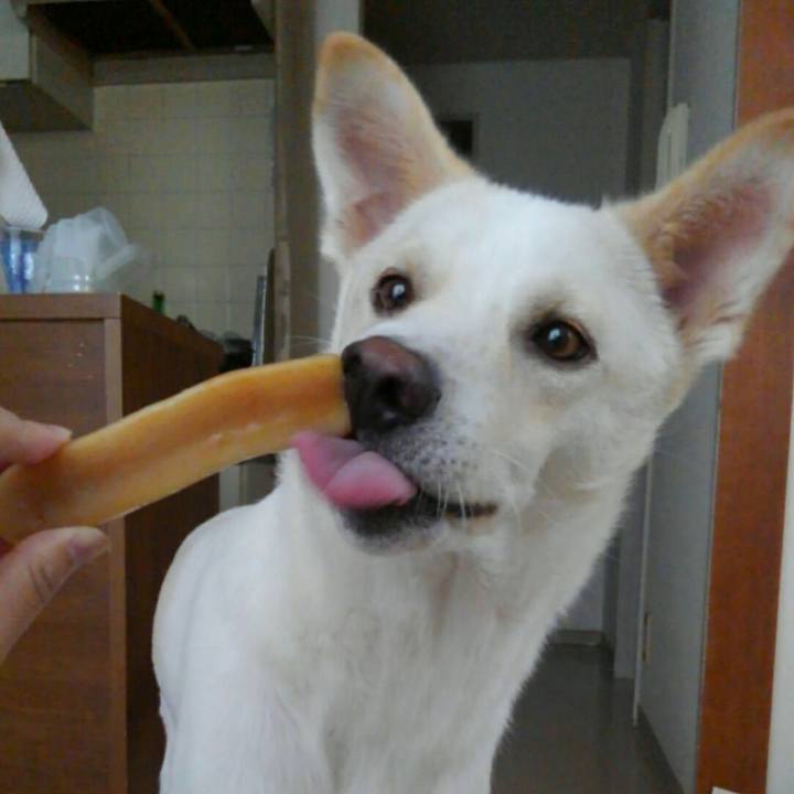 27bb3209 be7b 446e ad11 acd2938b7f28