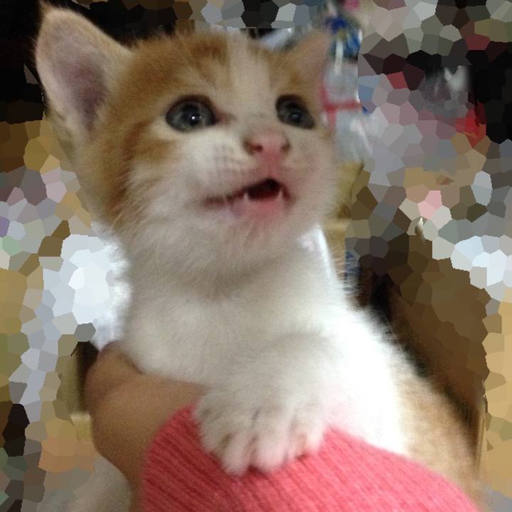 27bbd580 b8c1 4026 9945 804101a111ed