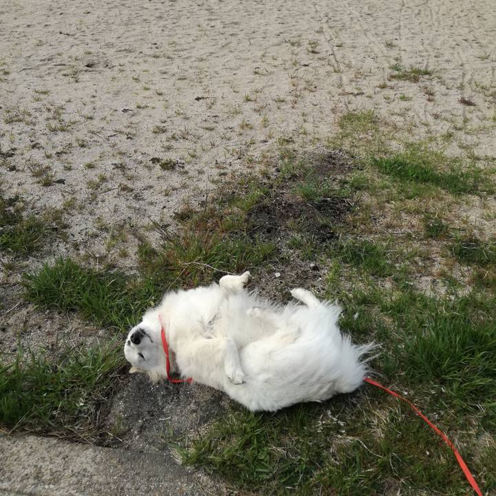 27bc30b5 62f0 4e73 96d7 ee3207063dcc