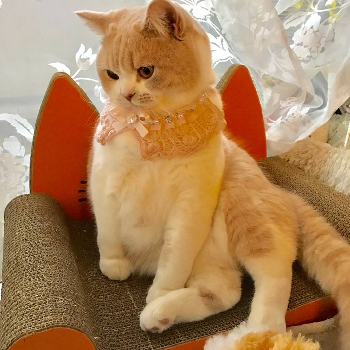 27bc45bd 2d81 45ab 85d5 2d697062d6bc