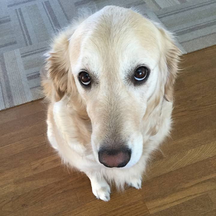 27bc7050 414f 49c9 a0d9 6e09fa5adc52