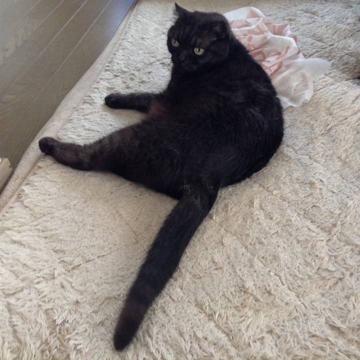 27bc883b d242 4863 9124 e6ce39afccc7