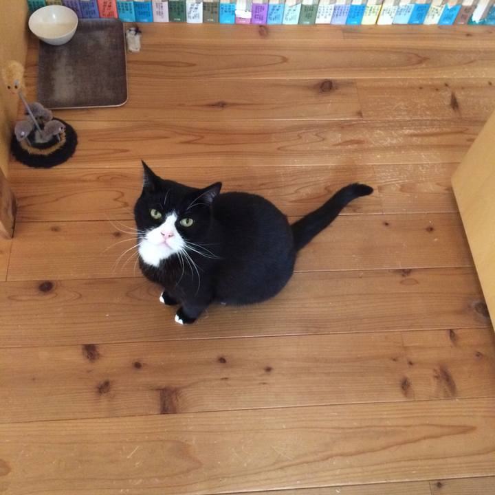 27bd9795 7d87 4d69 a43b ec7a45132779