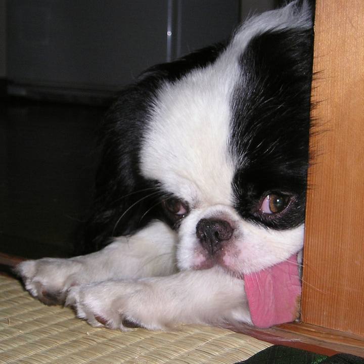 27bd9c16 2822 43bf 8eff 6da3f8d6d47d