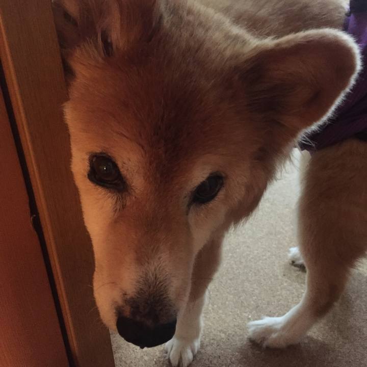 27be3cce 6532 466e a173 4bcedb44ed8f