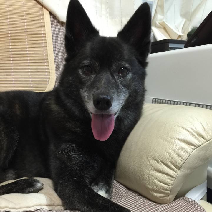 27be5890 26d4 4845 ab6d 4ad91710bdf3