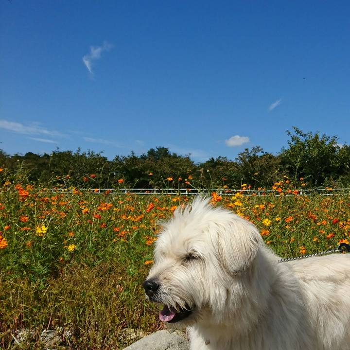 27bf19ef 6dbe 49f0 bb13 81820e696e0f