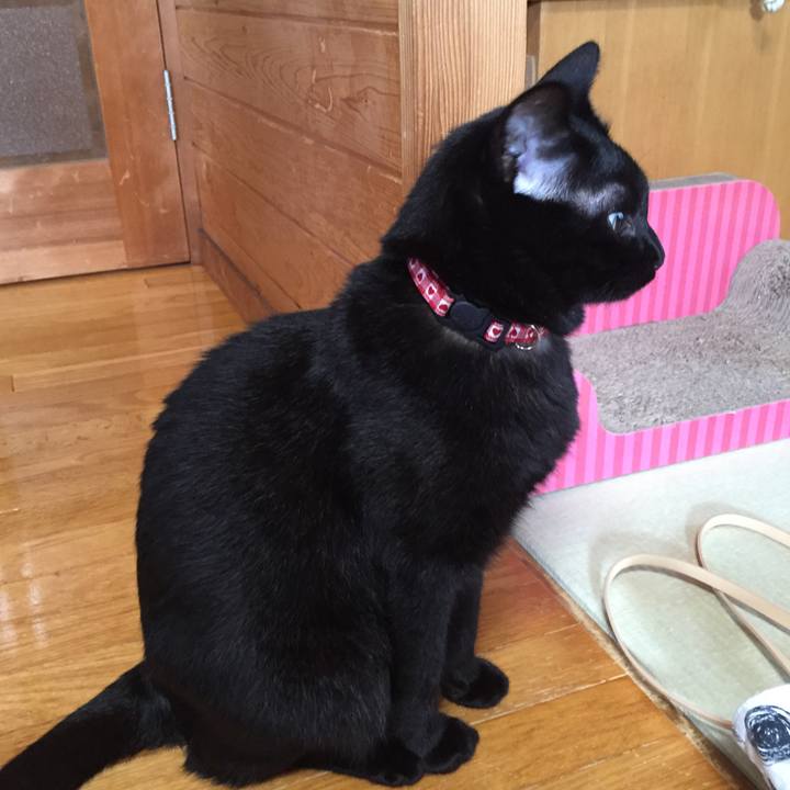 27bfd3cb 93f2 47c2 aca6 d3b998c6b853