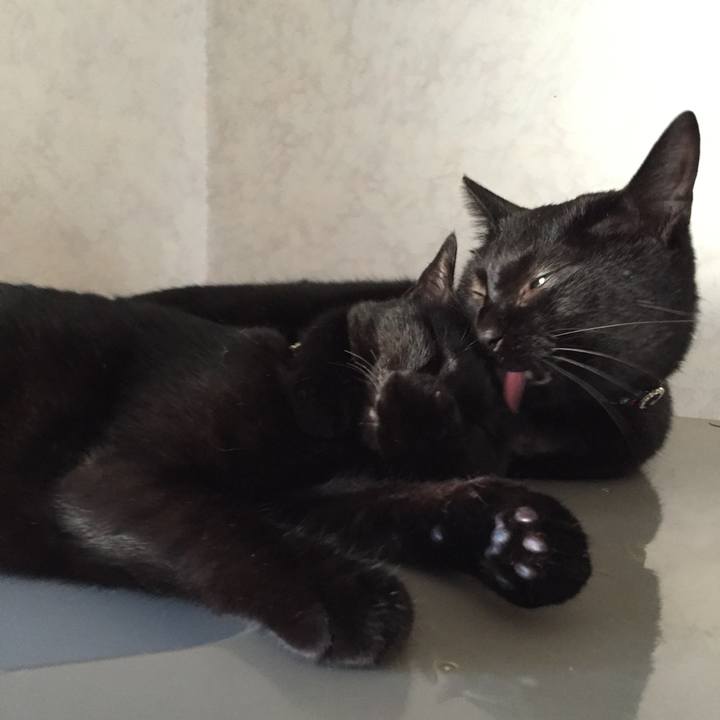 27c14730 7cd1 4645 9357 9c40ab8d9988