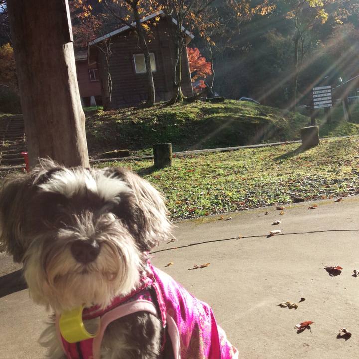 27c2526a ffad 431f 845d 1f1a0ee94a4c