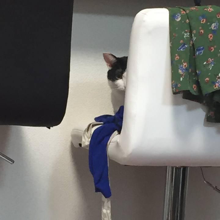 27c2c5ab 61ca 435d 82c7 e11b960f405d