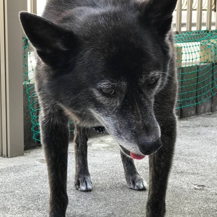 27c310a3 9708 44fa b273 c695d90b6c94