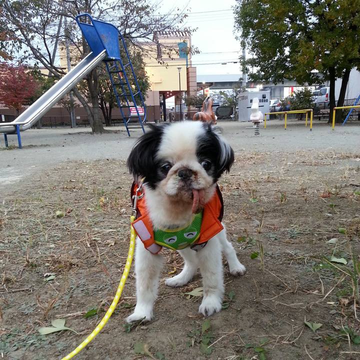 27c43228 e072 421a 8ea7 d92d06b32d70