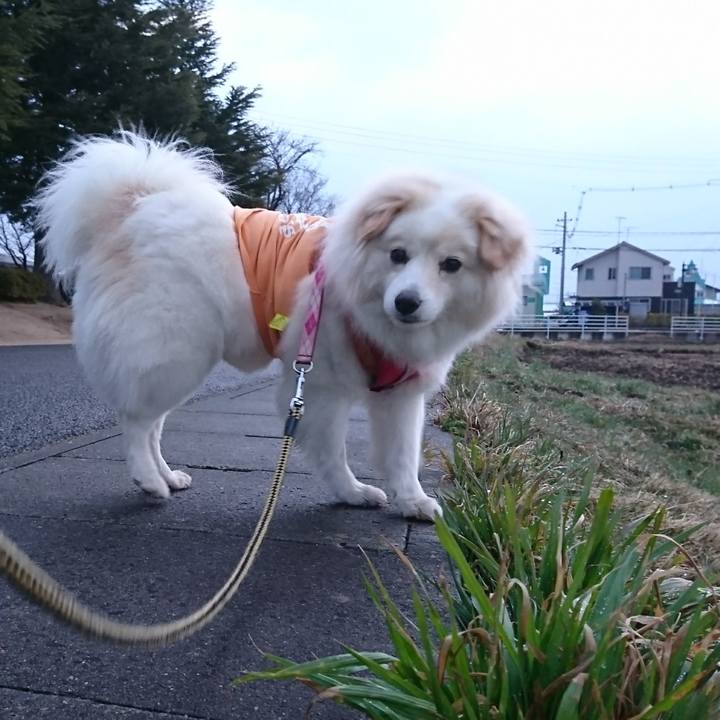 27c474f8 5800 4394 8b7c cffe99f3e5c2