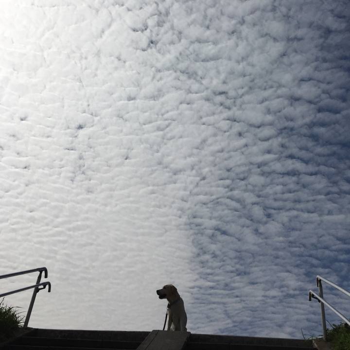 27c53754 fc3e 4afc a46c 9e8269d11c5a