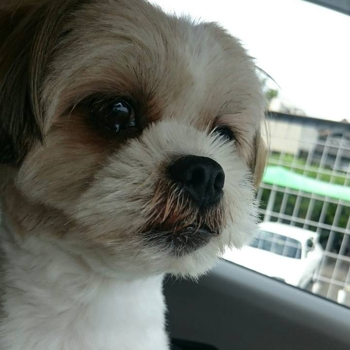 27c5ca9d 4342 4da3 a451 0686fafe78bf