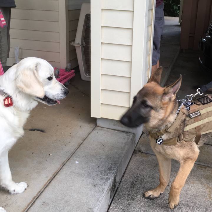 27c612c8 8331 4a43 a41a ed507524d683