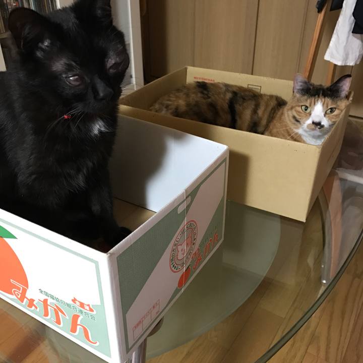 27c67cbd dbd9 4b92 8ba0 e160a36ef8ef