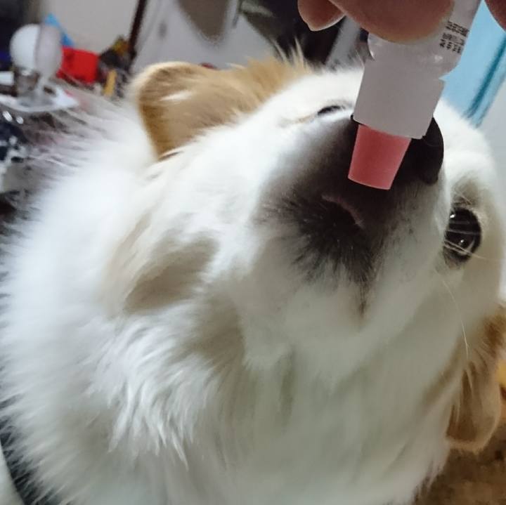 27c6ba3b e9f7 47d6 ae97 c4be1708371c