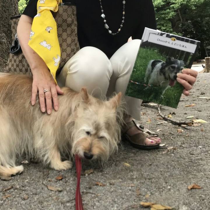 27c6ca2f f46b 4eb2 88f5 f592beeb8dc9