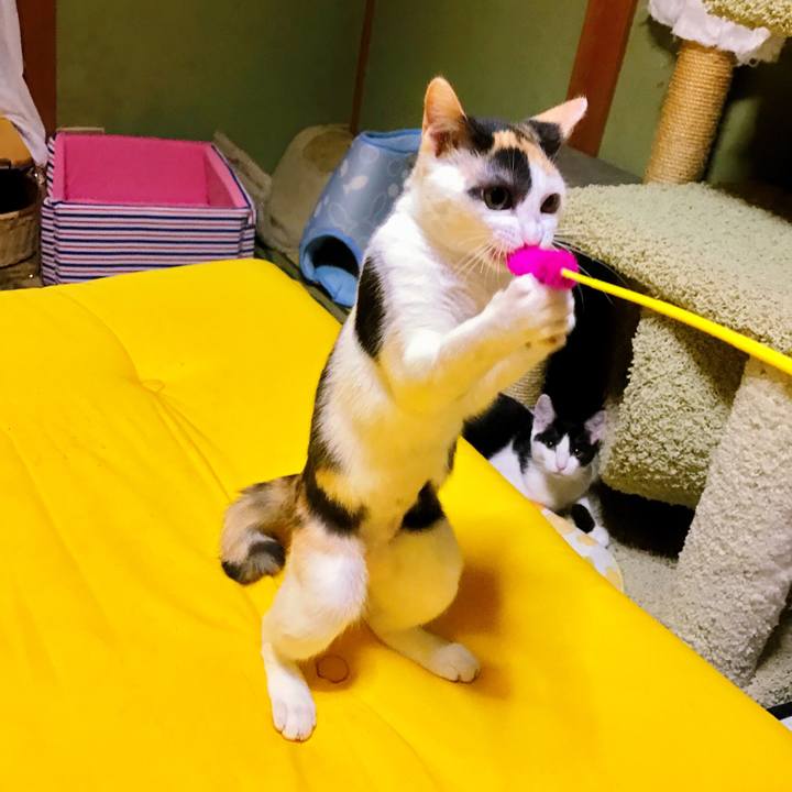 27c6e61c 990f 4d59 8215 b27aef45c715