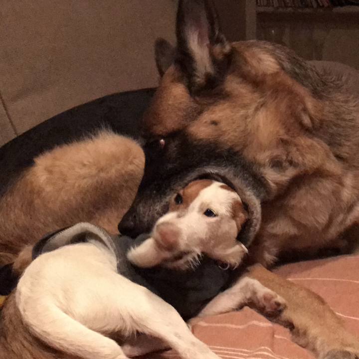 27c79a92 f59e 4139 bbec 674606669f74