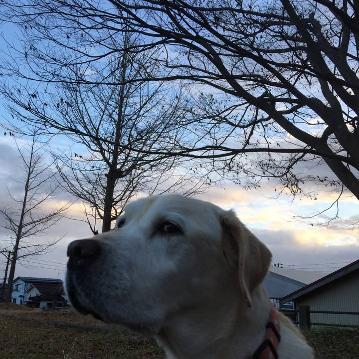 27c7d096 32d6 473d 8bb9 8625bde0c996