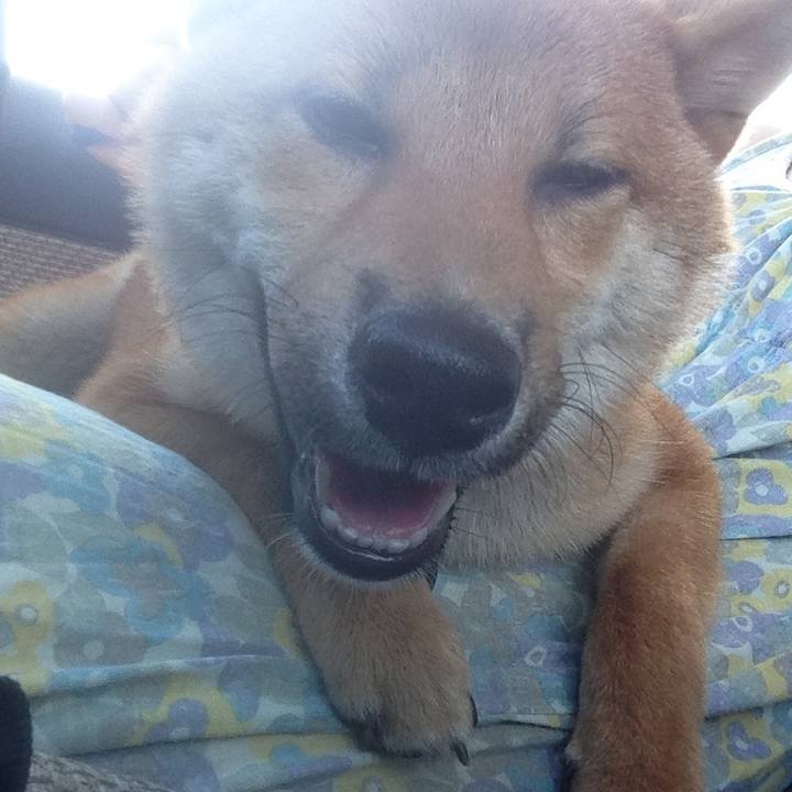 27c7f05d 77d3 492b 8340 73cd9ab9ade9