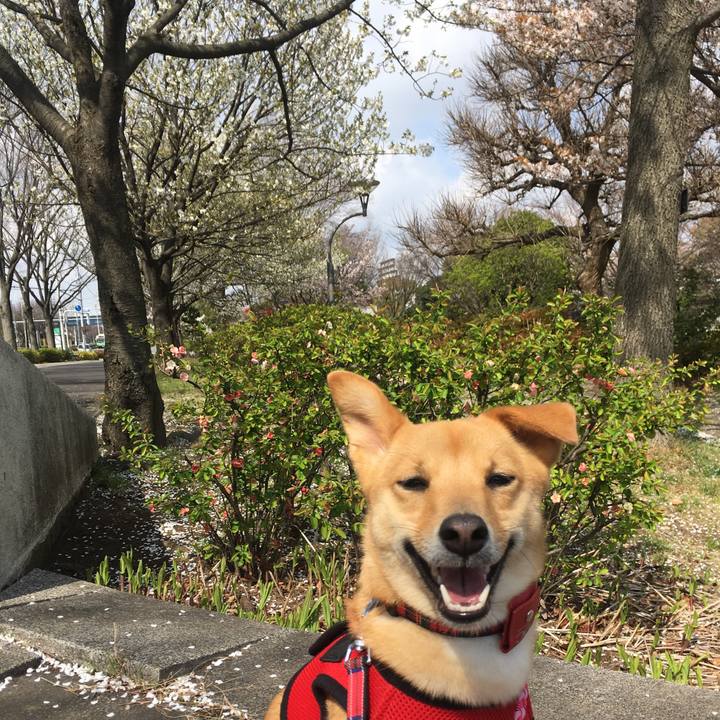 27c809f3 38d9 4dc1 a841 f16145dc792c