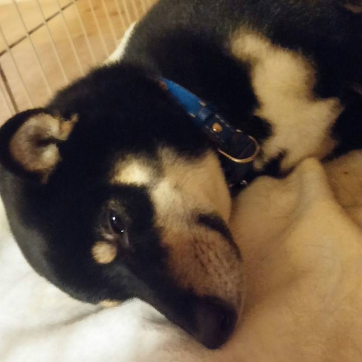 27c8cc21 3bd4 4a95 8f9a f003a2c4b7b5