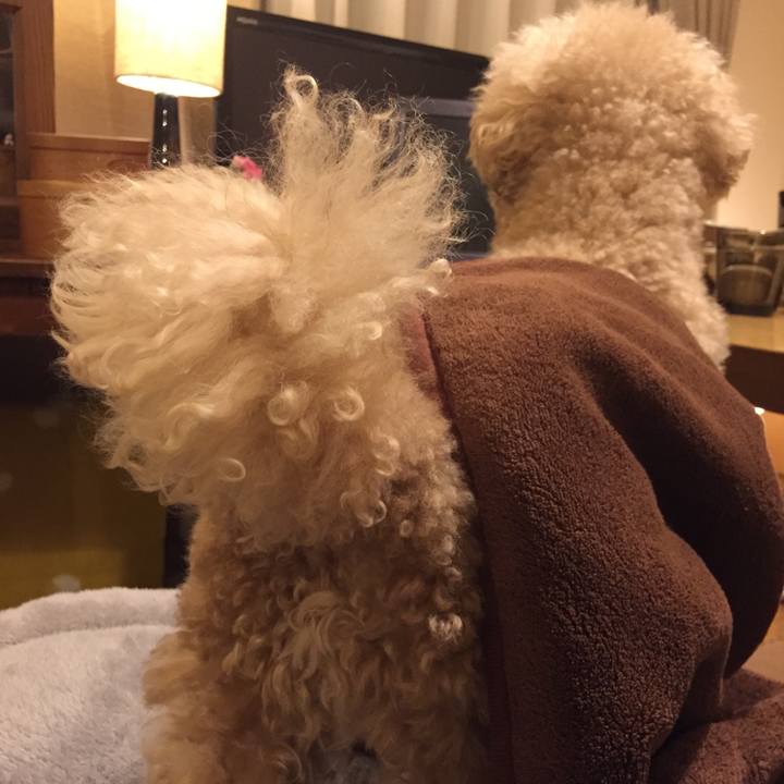 27c8f3e6 6f6d 4480 8b21 3ca83d45941c