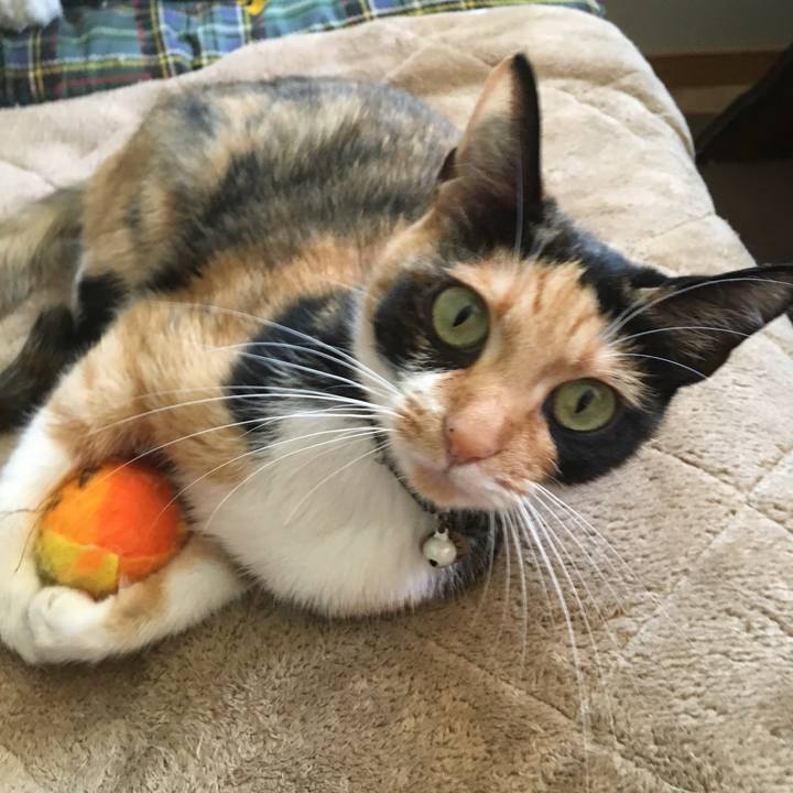 27c91304 4dac 4b81 b201 36eeca7db8f5