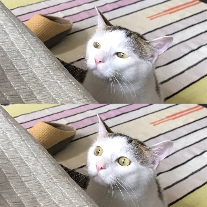 27ca4e5a 7dca 41cf b878 96d68a4040c4